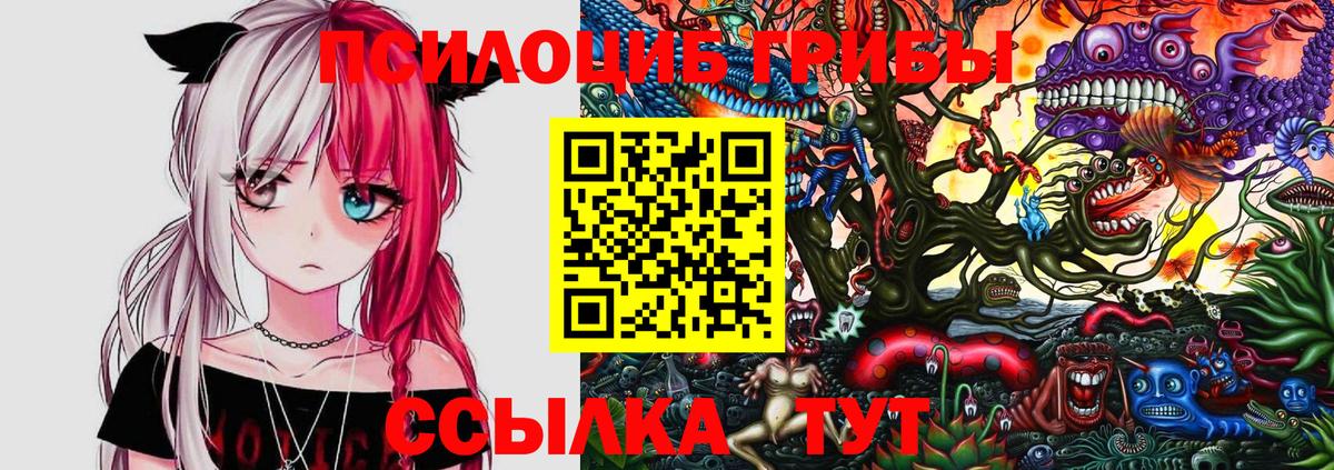 Галлюциногенные грибы мицелий Гудермес