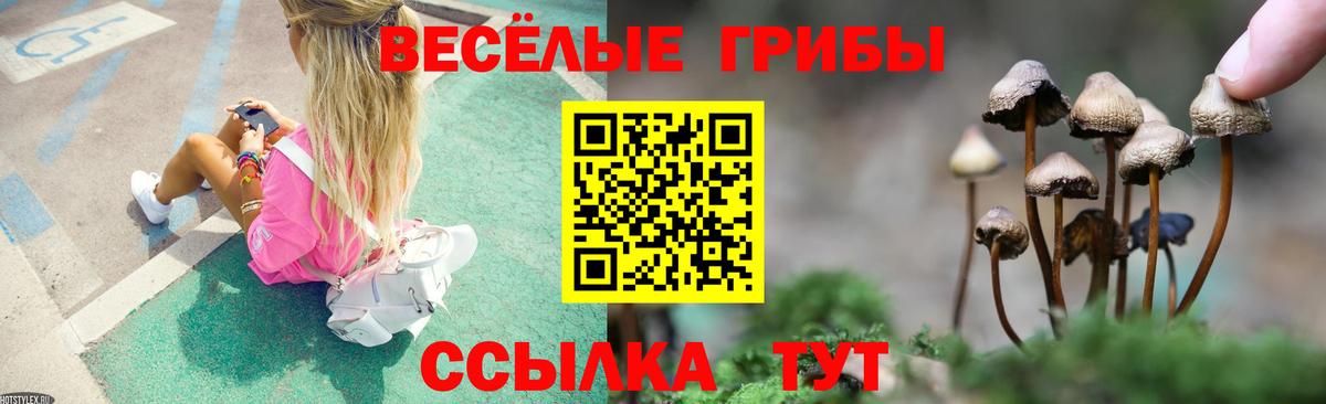 Псилоцибиновые грибы прущие грибы  Вход с VPN  Псилоцибиновые грибы прущие грибы  Гудермес 